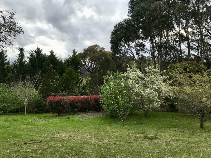 6 Cameron Close, Buxton VIC 3711