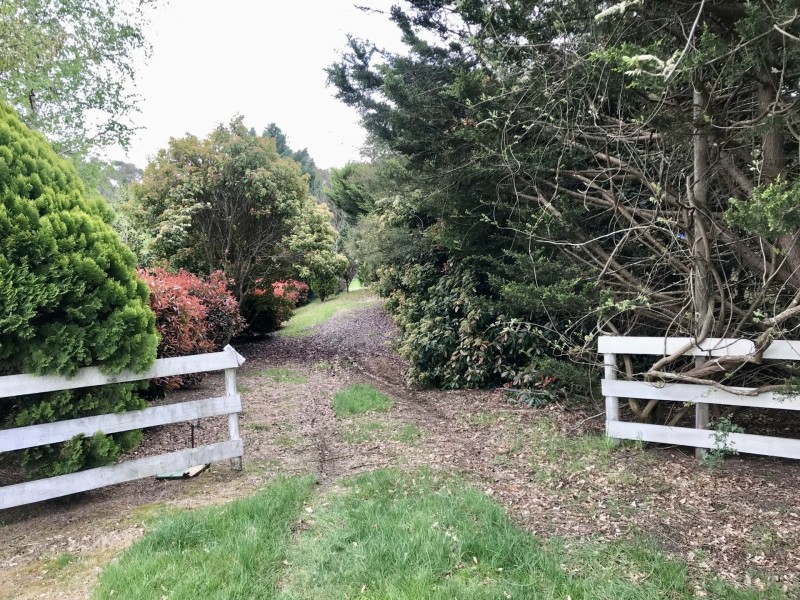 6 Cameron Close, Buxton VIC 3711