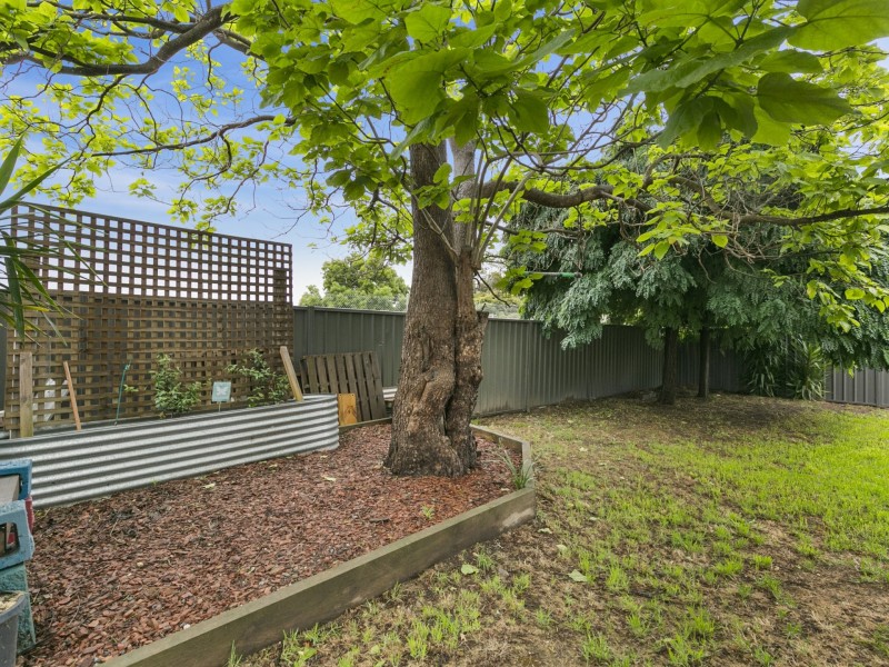 77 Nihil Street, Alexandra VIC 3714