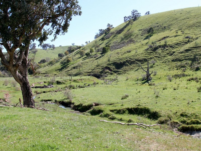 375 Stoney Creek Road, Fawcett VIC 3714