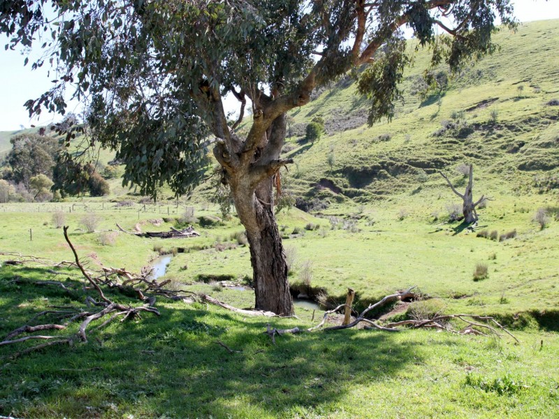 375 Stoney Creek Road, Fawcett VIC 3714