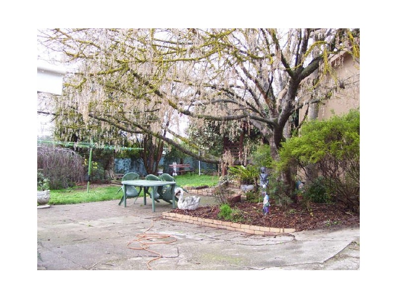 6 Perkins Street, Alexandra VIC 3714