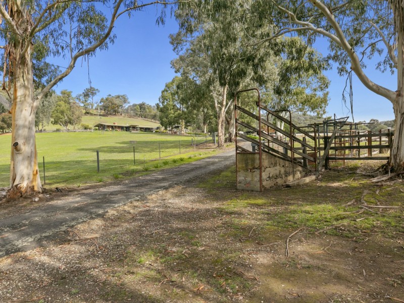 39 Skyline Road, Eildon VIC 3713