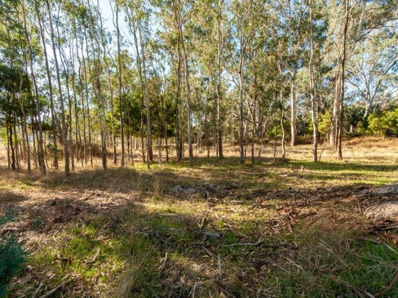 41 Eildon Jamieson Road, Eildon VIC 3713