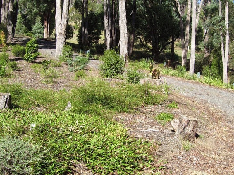 21 Gwinganna Place, Buxton VIC 3711