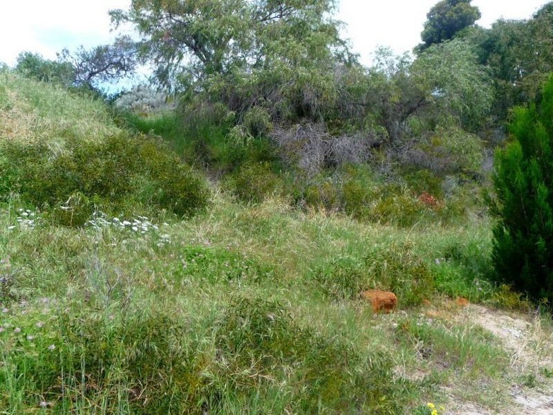 2 Eames Court, Binningup WA 6233