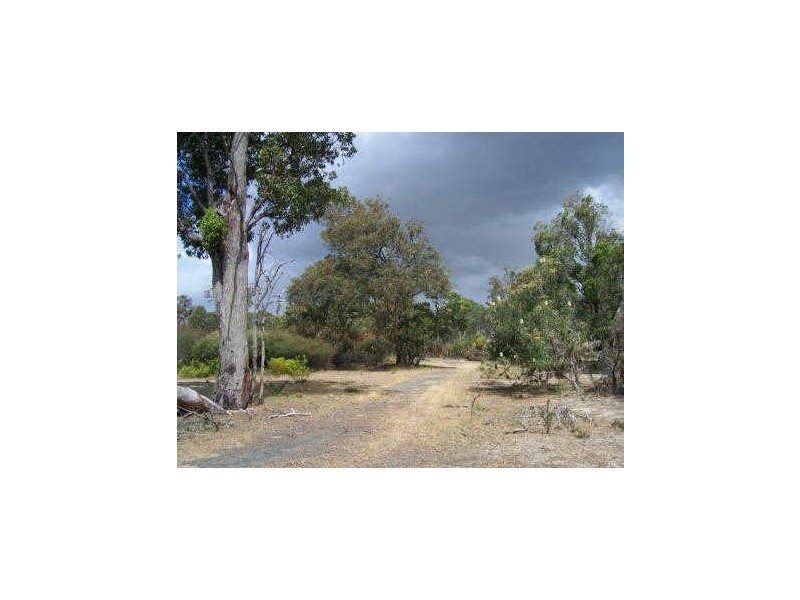 Lot 100 Eucalypt Drive, Gelorup WA 6230
