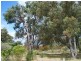 Lot 100 Eucalypt Drive, Gelorup WA 6230
