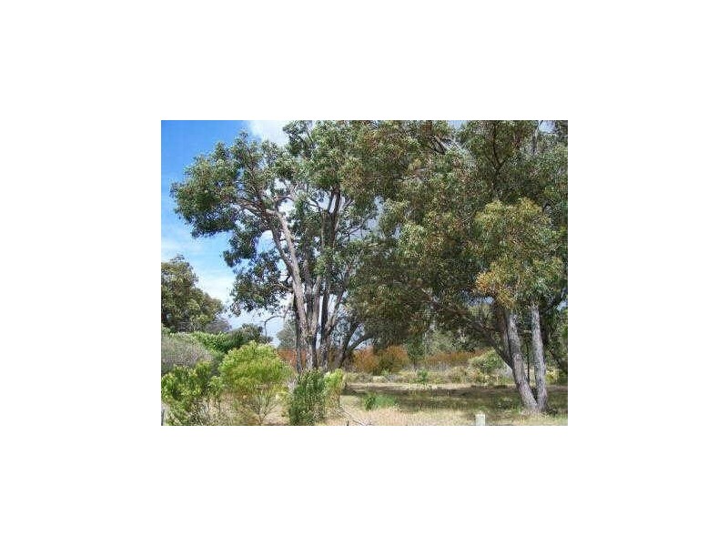 Lot 100 Eucalypt Drive, Gelorup WA 6230
