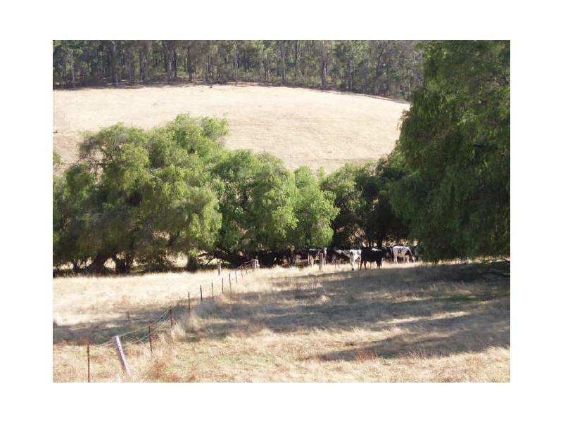 lot 10 Joshua Creek Road, Boyanup WA 6237