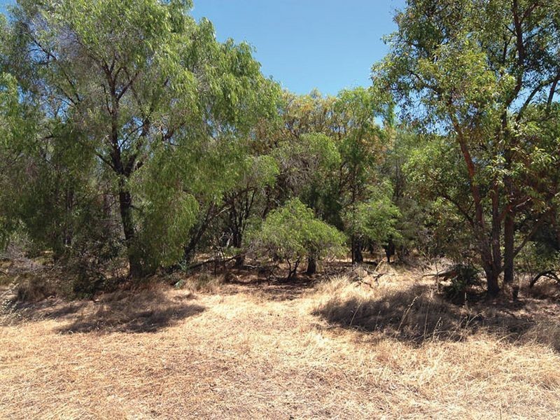 Lot 100 Bussell Highway, Stratham WA 6237