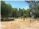 Lot 100 Bussell Highway, Stratham WA 6237
