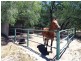 Lot 100 Bussell Highway, Stratham WA 6237