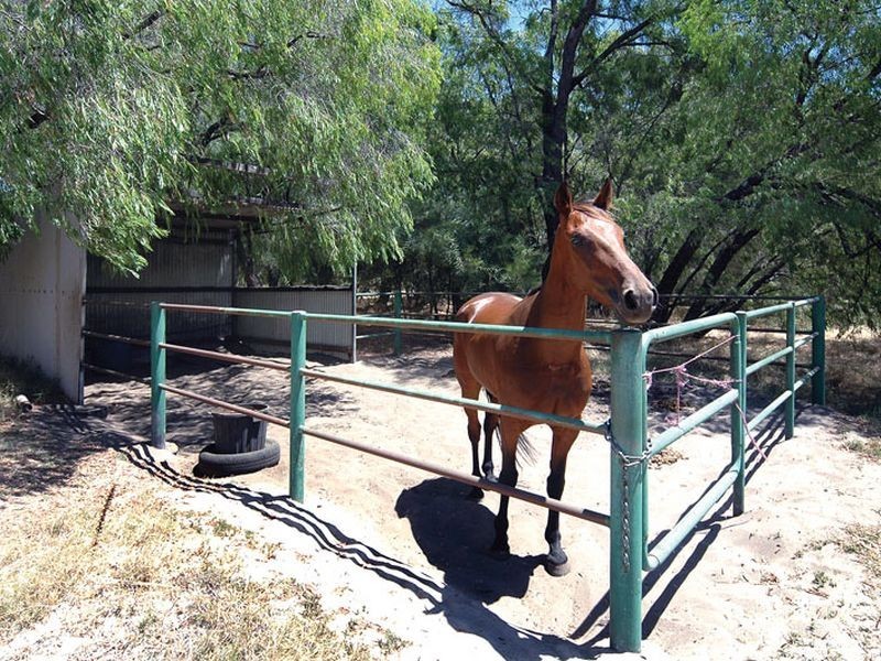 Lot 100 Bussell Highway, Stratham WA 6237