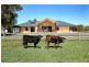 Lot 107 Vera Place, Dardanup WA 6236