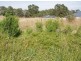 98 Galway Boulevard, Australind WA 6233