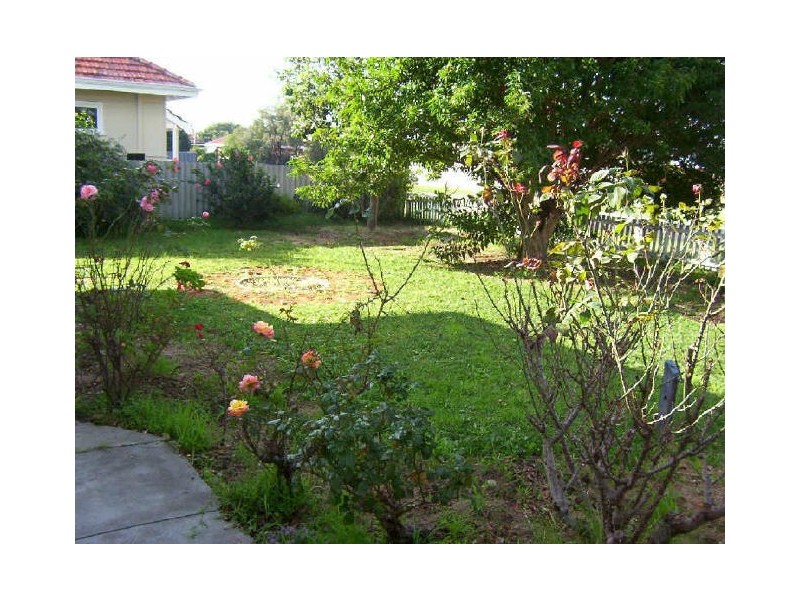 4 Ausden Street, Carey Park WA 6230