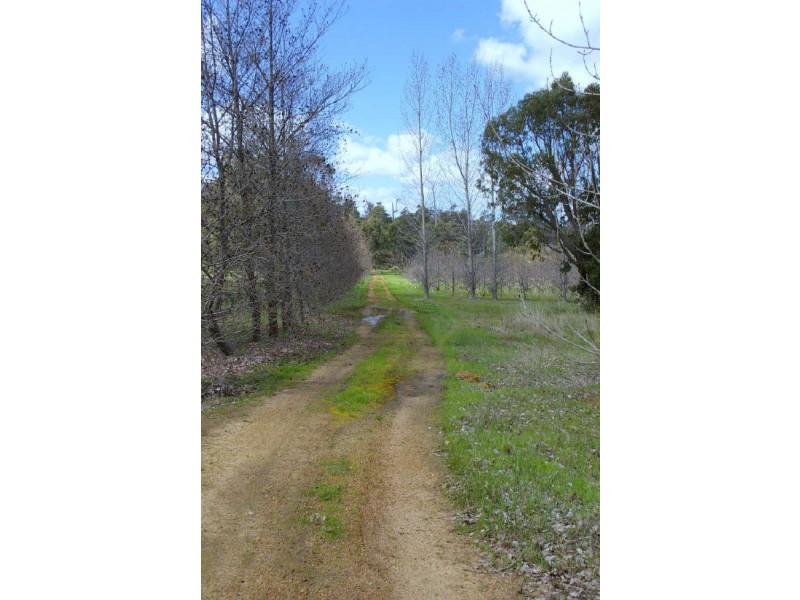 874 Hurst Rd, Argyle WA 6239