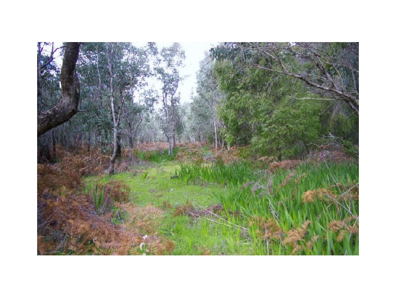 874 Hurst Rd, Argyle WA 6239