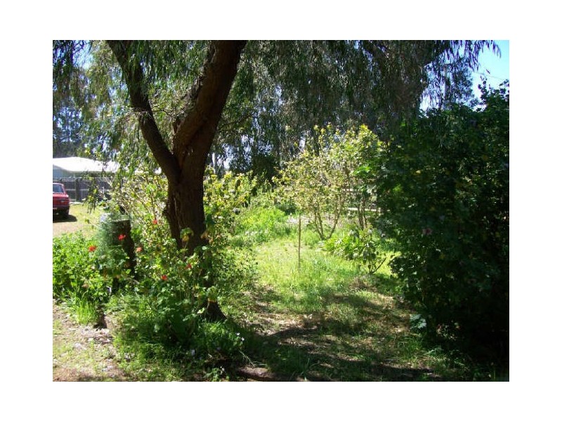 6 Edwards Road, Capel WA 6271