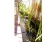 17 Eucalypt Drive, Gelorup WA 6230
