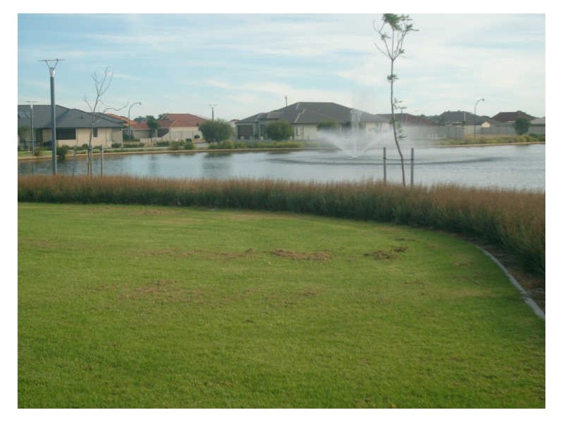 81 The Boulevard, Australind WA 6233