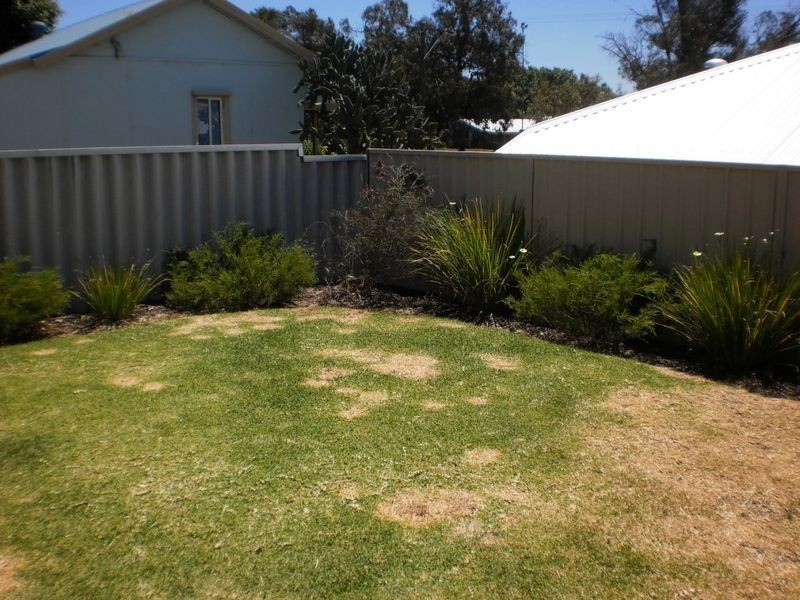 29c Xavier Street, Carey Park WA 6230