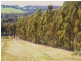 31 Sears Close, Upper Capel WA 6239