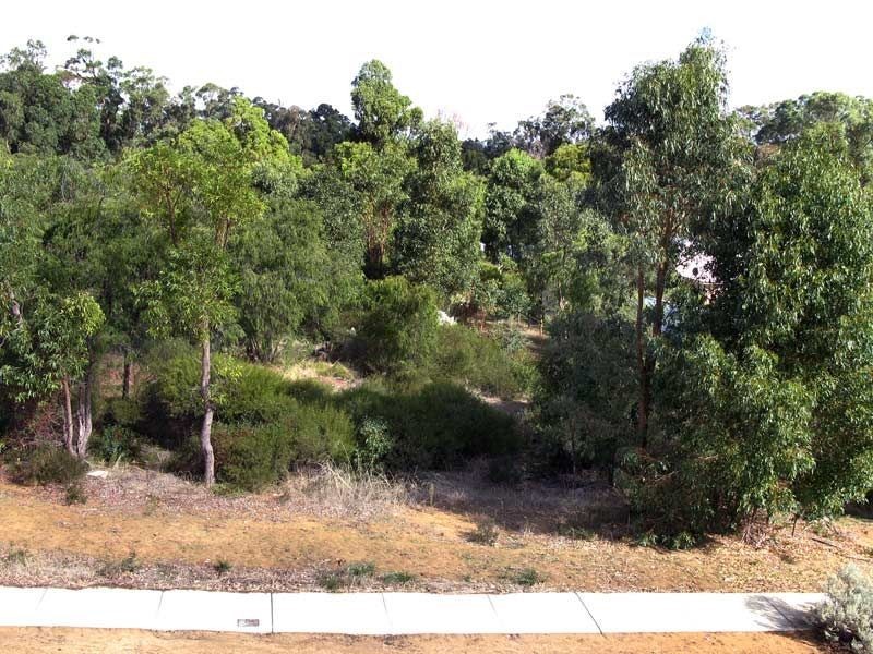 31 Maidment Parade, Dalyellup WA 6230