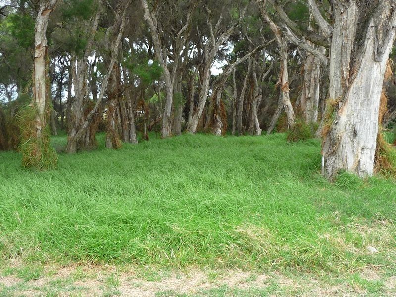 13 Properjohn Street, South Bunbury WA 6230