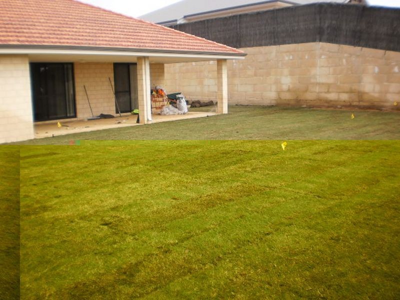 133 Hornibrook Road, Dalyellup WA 6230