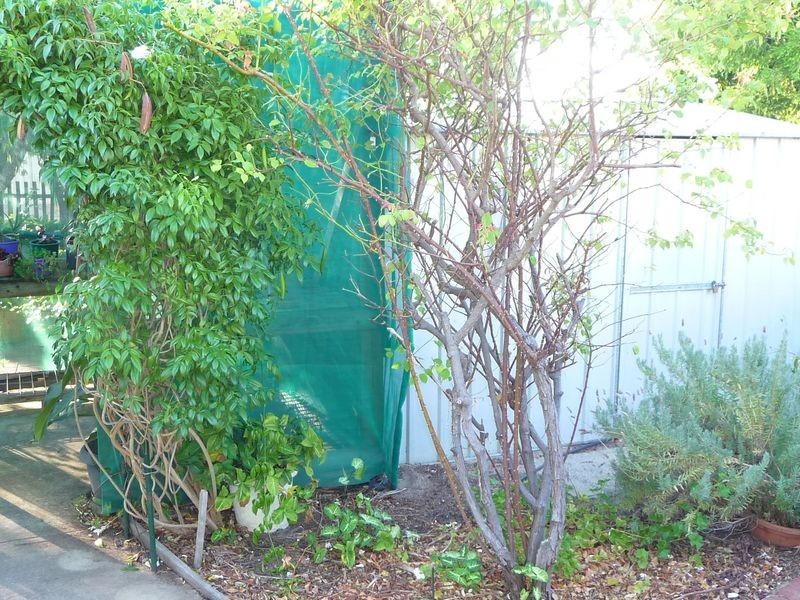 14 Brunswick Road, Brunswick WA 6224