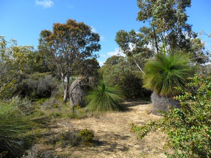 7 Taurus Close, Dawesville WA 6211