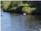 15 Wisteria Court, South Bunbury WA 6230