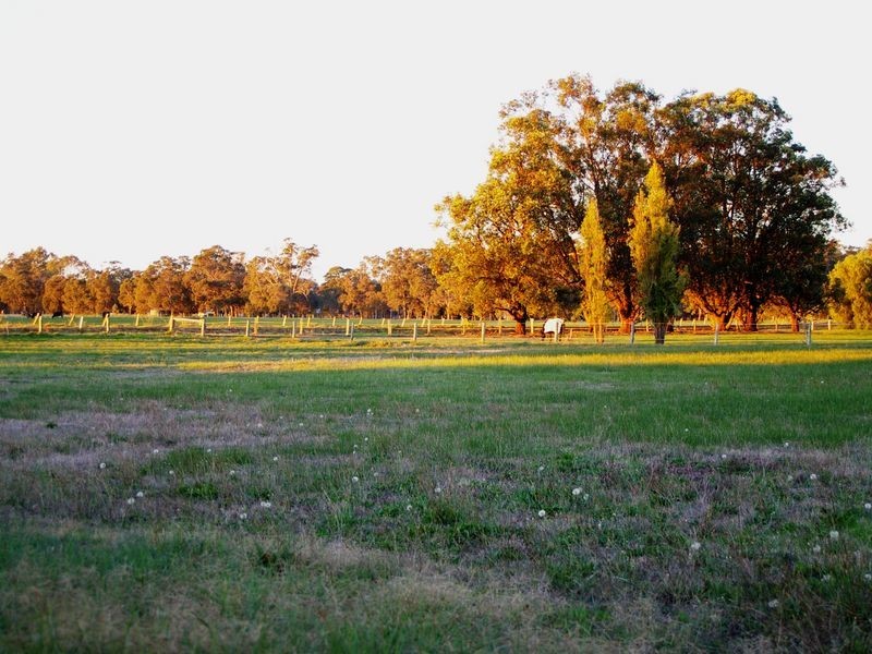 29 Knuckey Close, Boyanup WA 6237