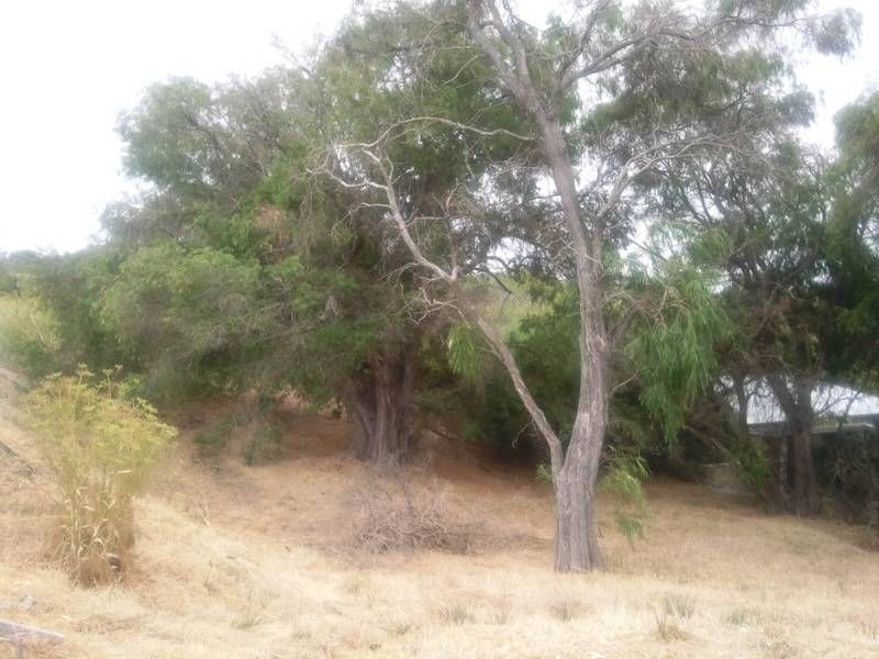 48 Mitchell Road, Hamel WA 6215