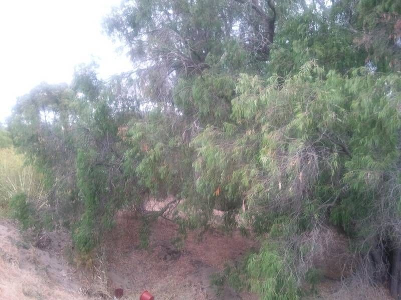 48 Mitchell Road, Hamel WA 6215