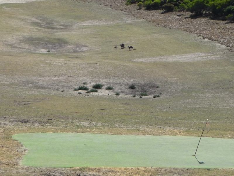 48 Mitchell Road, Hamel WA 6215