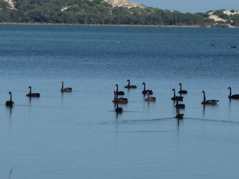 8 Old Coast Road, Australind WA 6233