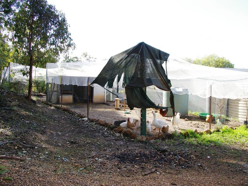 92 Grimwade Road, Greenbushes WA 6254