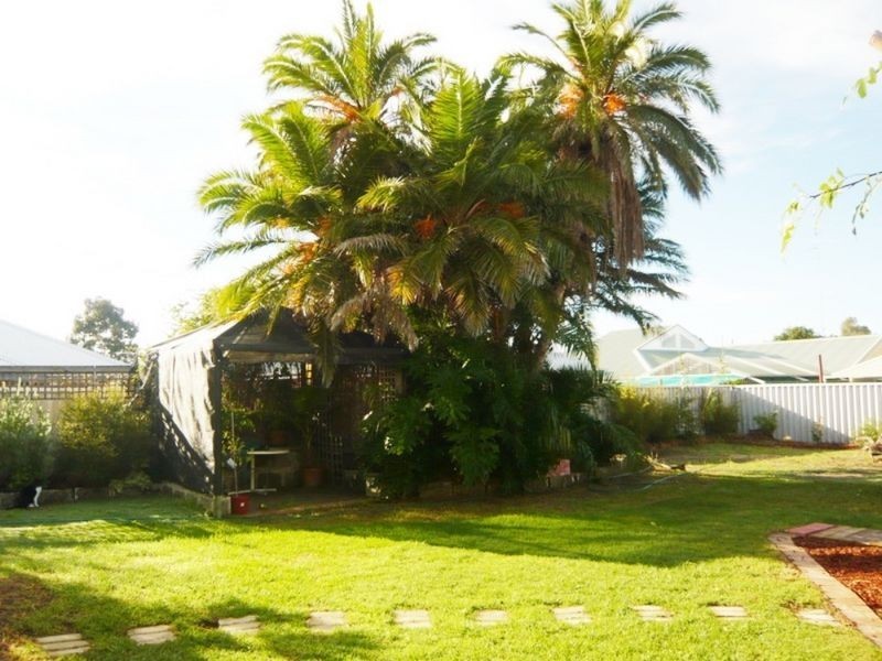 23 Wilson Street, Carey Park WA 6230
