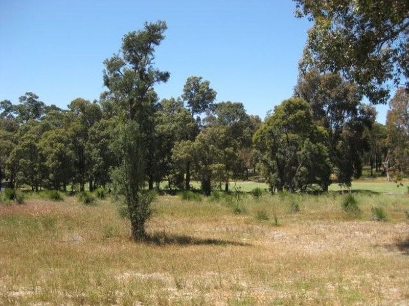 33 Leschenaultia Circuit, Donnybrook WA 6239