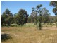 33 Leschenaultia Circuit, Donnybrook WA 6239