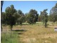 33 Leschenaultia Circuit, Donnybrook WA 6239