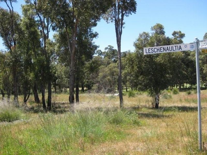 33 Leschenaultia Circuit, Donnybrook WA 6239