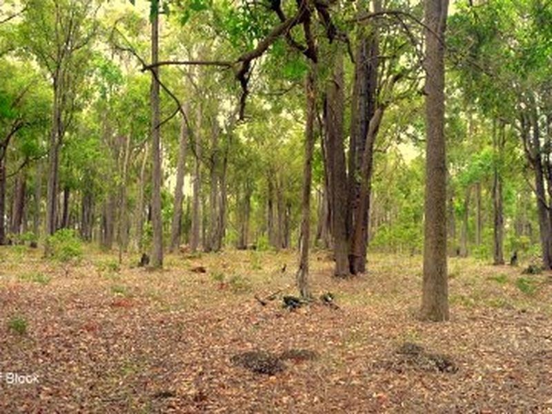 40 Myrtle Ridge, Argyle WA 6239