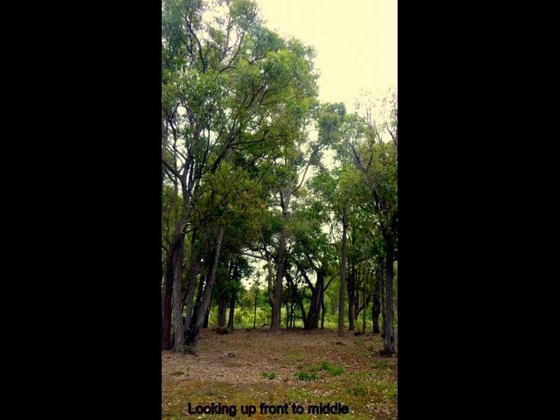 40 Myrtle Ridge, Argyle WA 6239