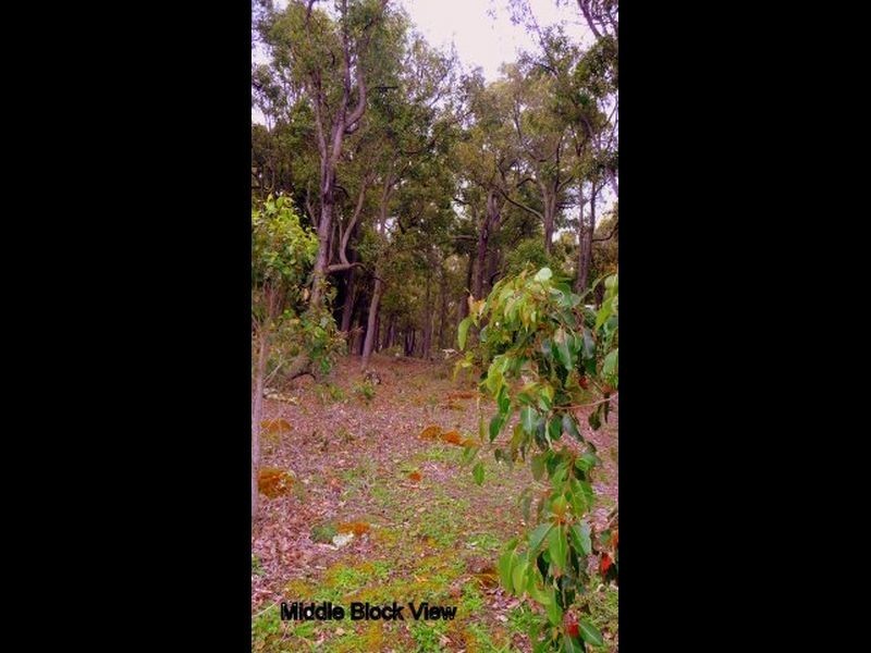 40 Myrtle Ridge, Argyle WA 6239