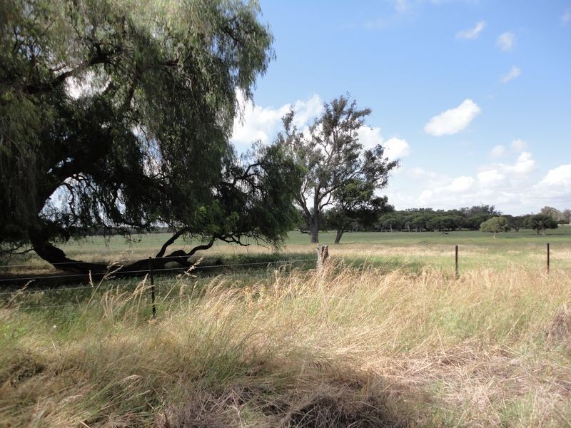 Lot 453 Padbury Road, Dardanup WA 6236