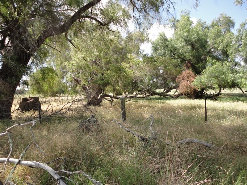Lot 453 Padbury Road, Dardanup WA 6236